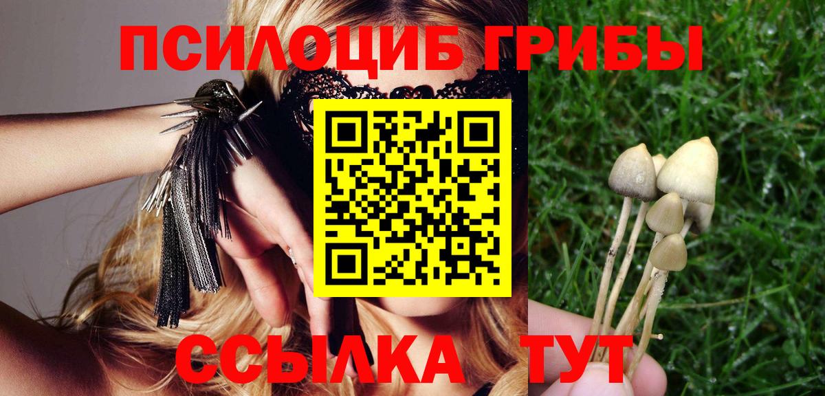 Псилоцибиновые грибы MAGIC MUSHROOMS  Вход с VPN  как найти закладки  Губаха 